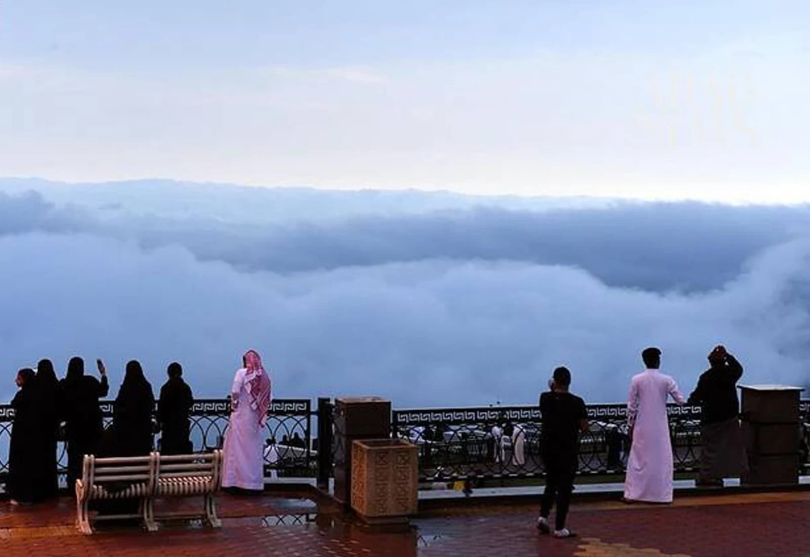 ممشى الضباب