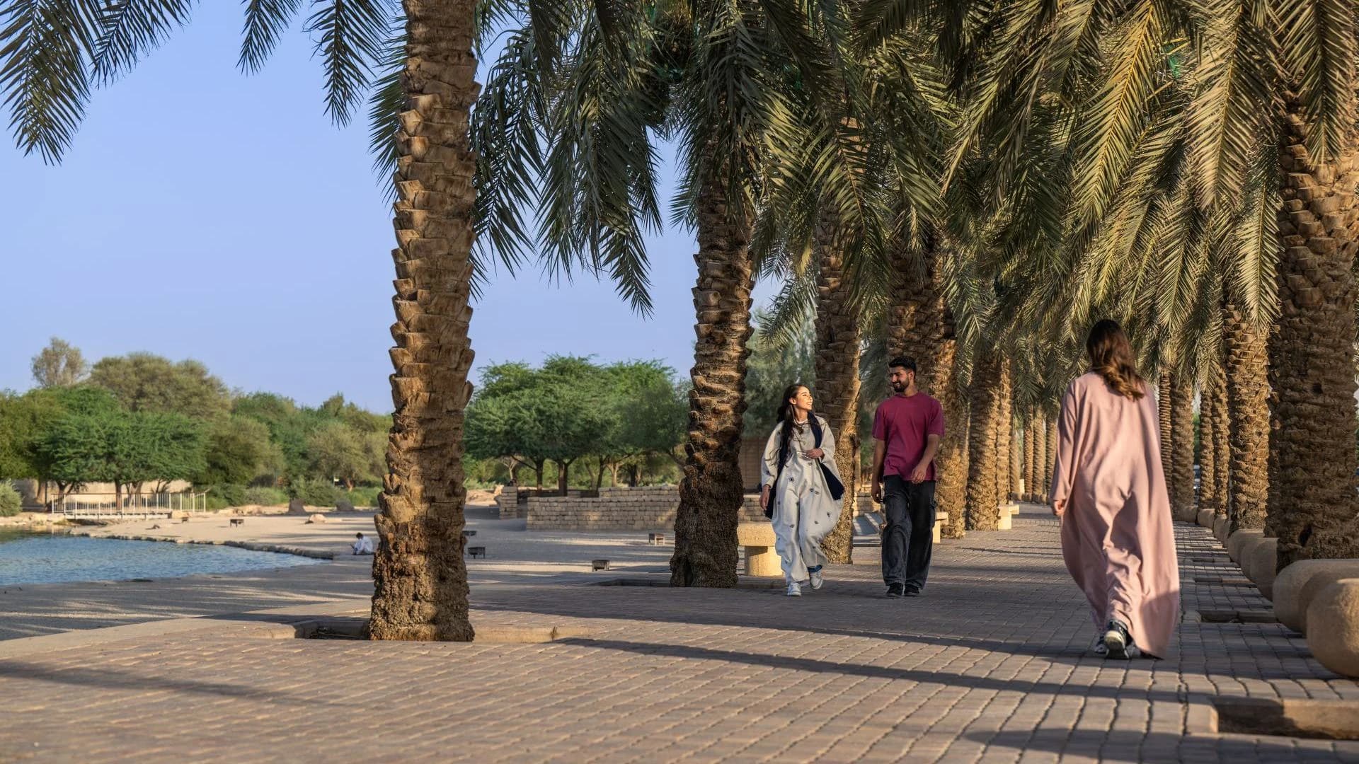 وادي حنيفة