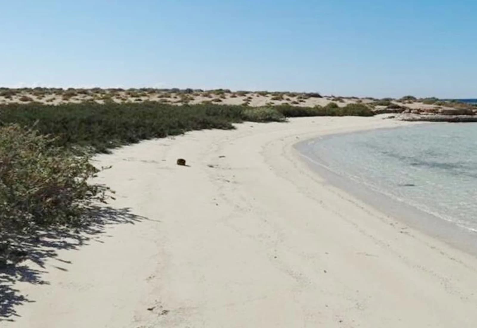 شواطئ المانغروف والخلجان الهادئة